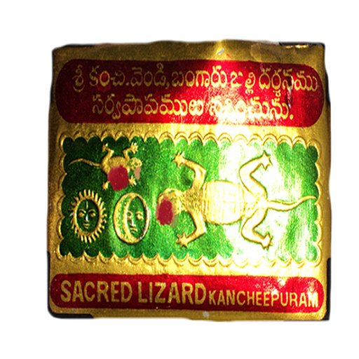 Balli Shastra (Palli Dosham) أيقونة