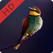 Animal Wallpapers HD أيقونة