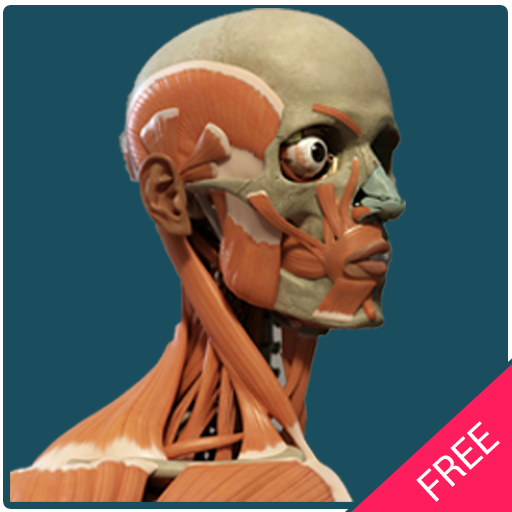 Human Body Free Offline icon