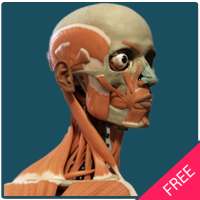 Human Body Free Offline on 9Apps