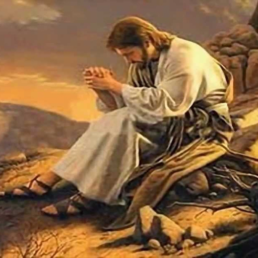 Videos Cristianos icon