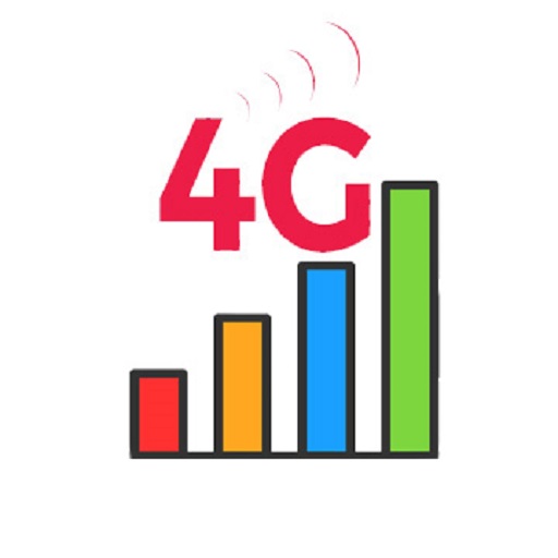 Only 4G Network Mode icon