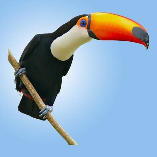 Wild Birds Atlas icon