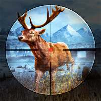 Deer Hunter