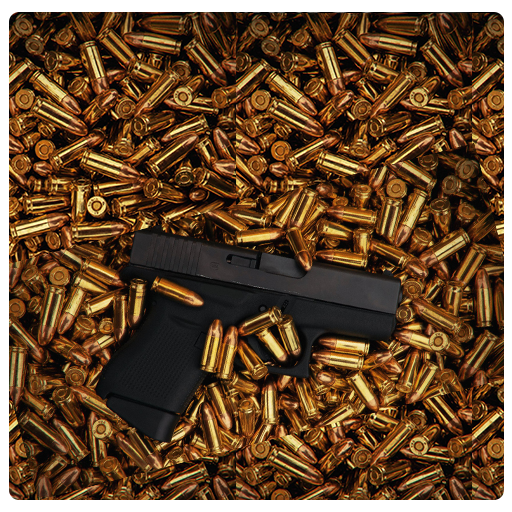 Gun Wallpaper HD icon