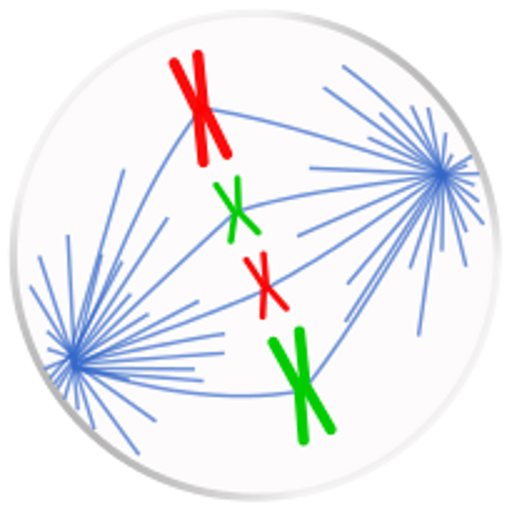 Mitosis, Meiosis and Organelles icon