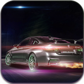 Wild Car driving icon