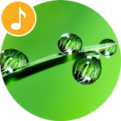 Rain Sounds icon