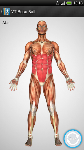 Virtual Trainer Bosu Ball screenshot 6