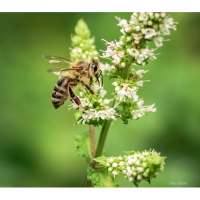 My Photography Collection