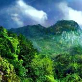 One Plus 3 Animated Wallpapers иконка