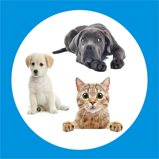 pet &amp; dog - Buy and sell icon