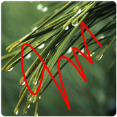 Gesture App Lock and Gesture Lock Screen icon