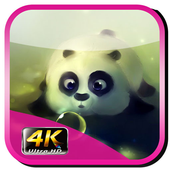 Cute Baby Panda Wallpaper 4K icon