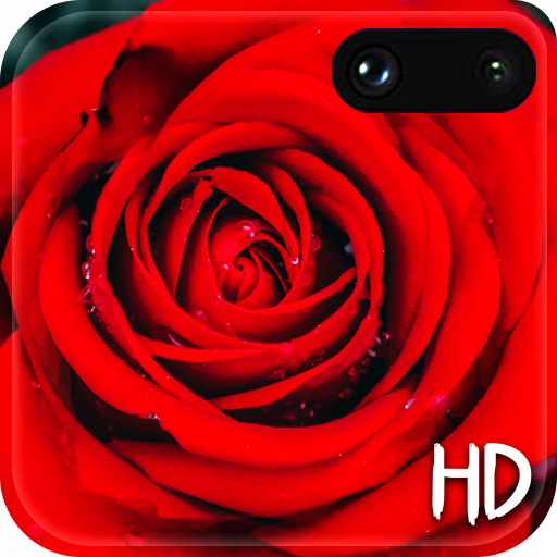 Red Rose Live Wallpaper :HD 2020 أيقونة