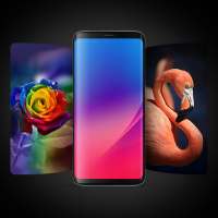 4K HD Wallpapers on 9Apps