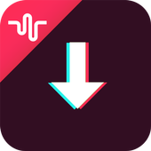 Video Downloader icon
