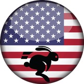 USA VPN icon