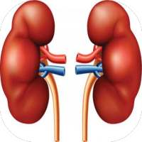 Insuficiencia Renal on 9Apps