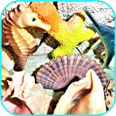 Seashells Wallpaper icon