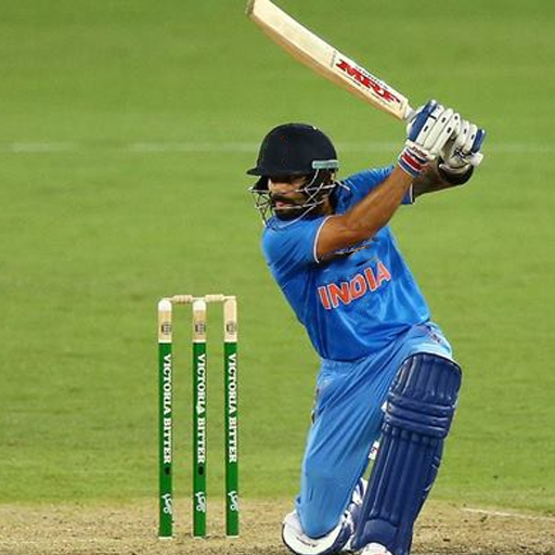 Real World Cricket Cup Games icon