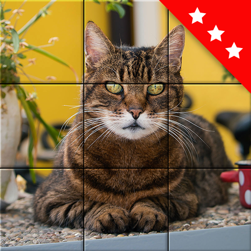 Puzzle gatti: giochi di mosaico intelligenti icon