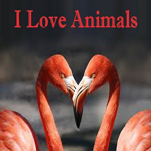 I Love Animals icon