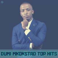 Dumi Mkokstad - Top Hits Offline