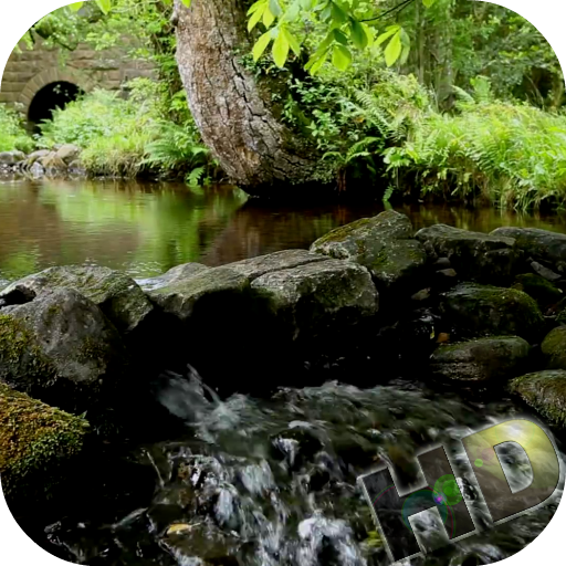Rivers Video Live Wallpaper icon