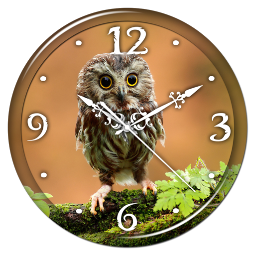 Owl Clock Live Wallpaper icon