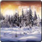 Winter Wallpaper 2016 on 9Apps