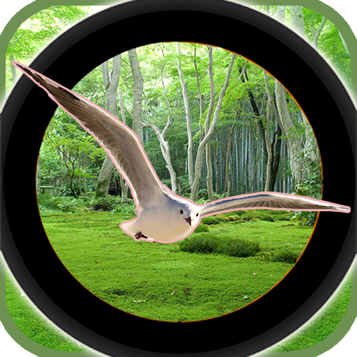 Forest 3D Birds Hunting - Sniper Shooting icon