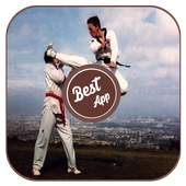 Learn Taekwondo Techniques icon