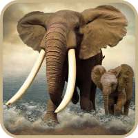 Elephant Wallpaper on 9Apps