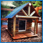 Diy Dog Houses أيقونة