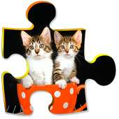 Best Puzzle Cats