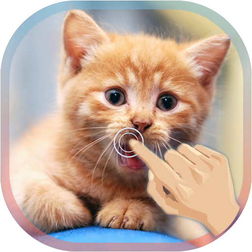 Cute Cat Live WallPaper icon