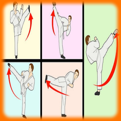 Learning The Basics of Karate icon