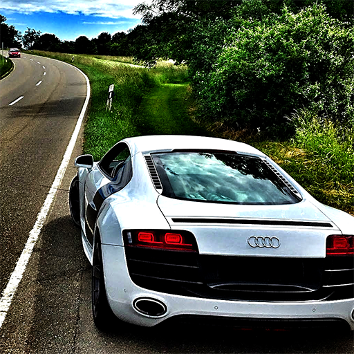 Fast Racer Takedown icon