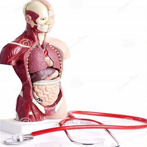 All Anatomy Mnemonic أيقونة