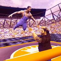 World Tag Team Revolution 2019:Wrestling Fight 3D