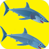 Shark Games Free icon