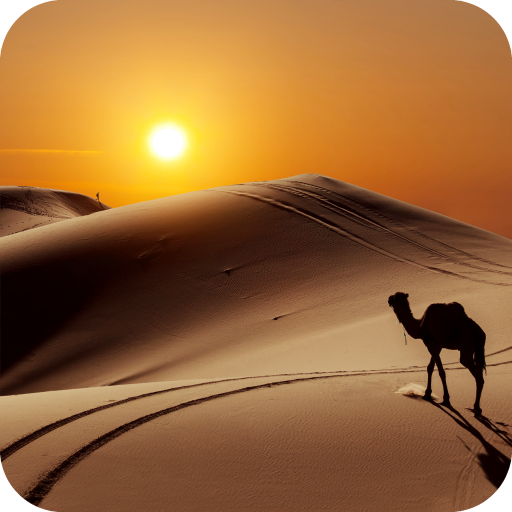 ikon Desert Wallpaper 4K Latest