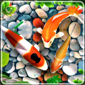 Fish Live Wallpaper 3D أيقونة