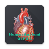 Human Anatomy (OFFLINE) icon