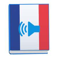 Learn Basic French Everyday Conversation Phrases on 9Apps