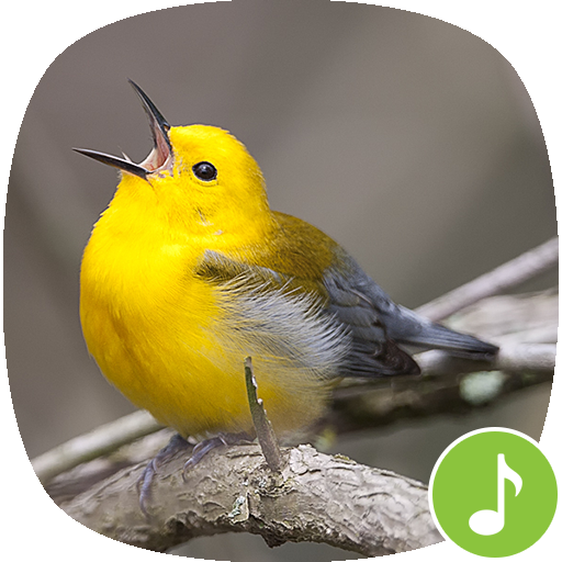 Appp.io - Warbler bird sounds icon