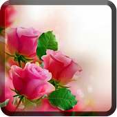 Roses Wallpapers for Chat on 9Apps