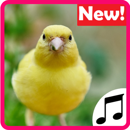 Canary Sounds, Chants and tones free icon