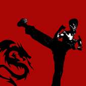 Fist Of Fury Kung Fu Workout